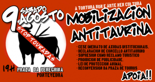 MANIFESTACIÓN ANTITAURINA EN PONTEVEDRA