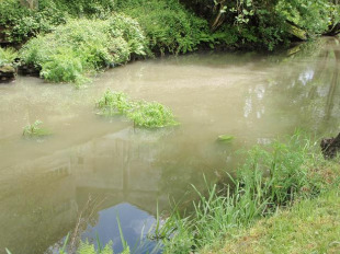 Imaxes do río Madalena, despois da vertedura