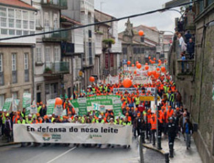 Imaxe dunha manifestación dos gandeiros